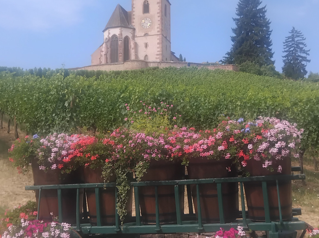 Eglise Fortifiée Saint-jacques-le-majeur-汉拿威必去景点