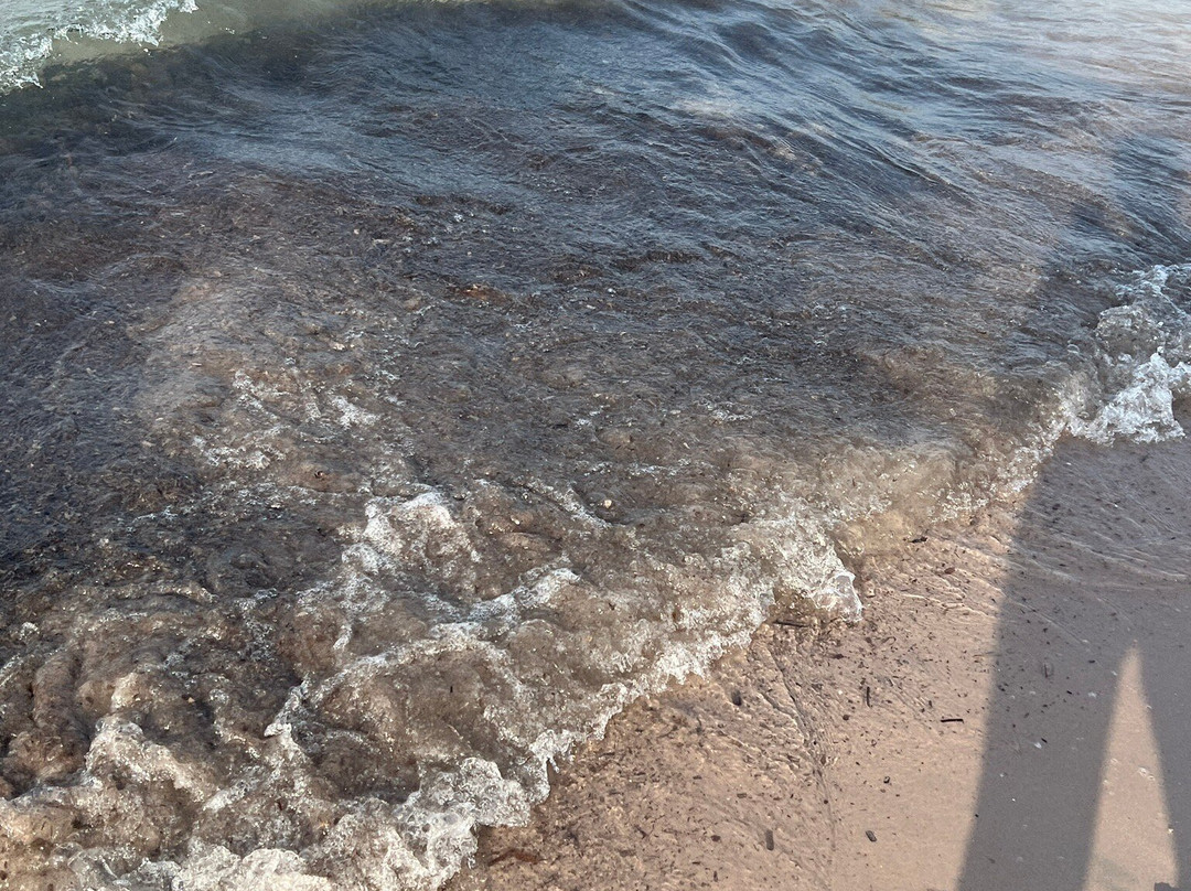 Plage de Calvi-卡尔维必去景点
