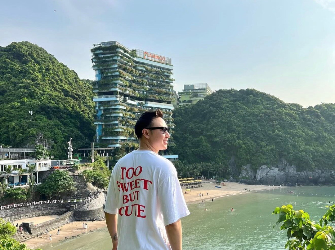 Flamingo Cat Ba Resorts主图