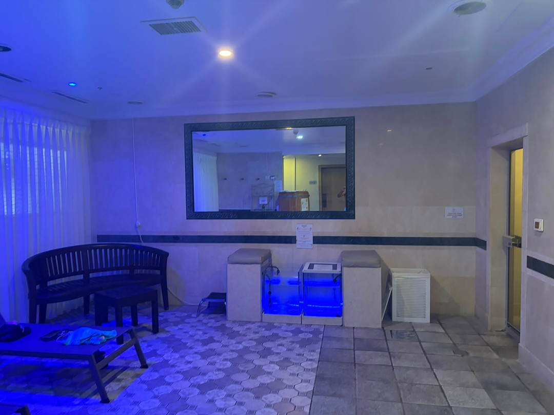 阿丽雅酒店主图