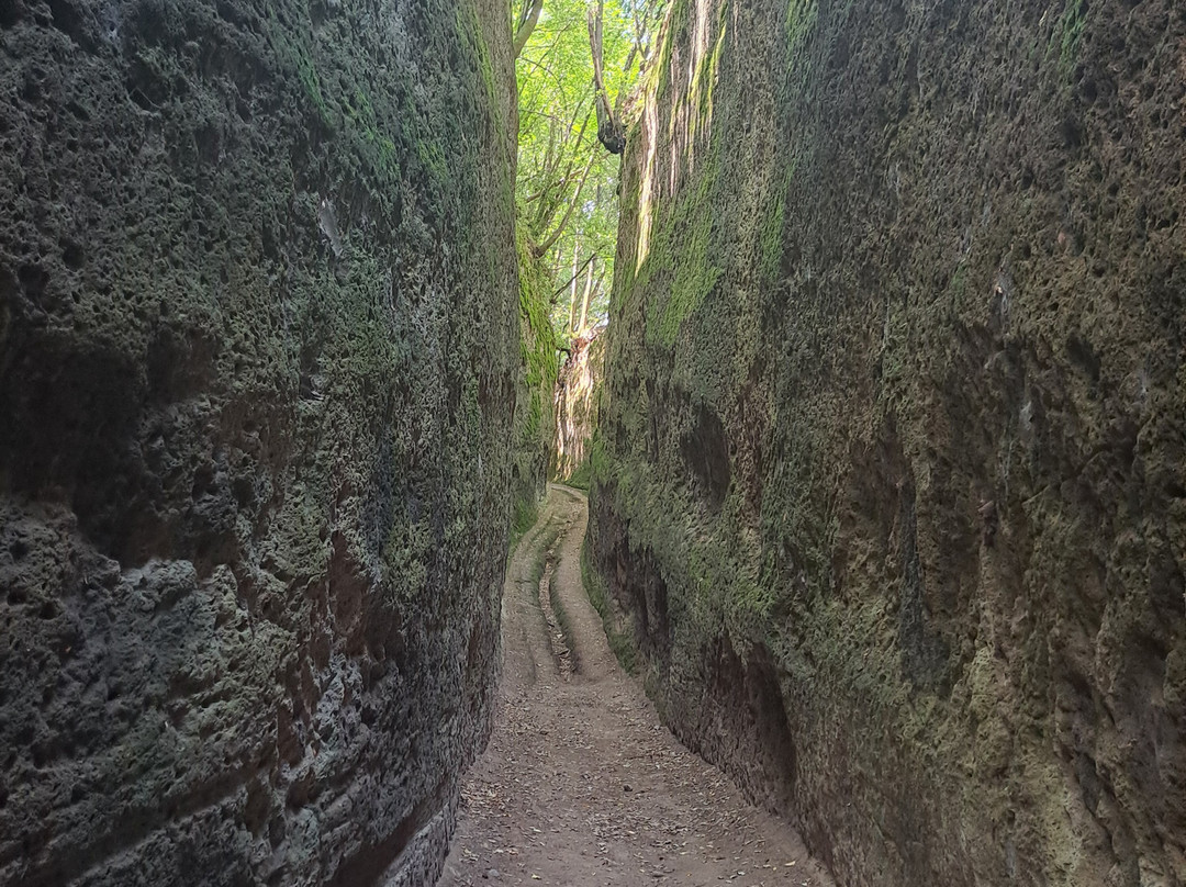 Vie Cave Etrusche-皮蒂利亚诺必去景点