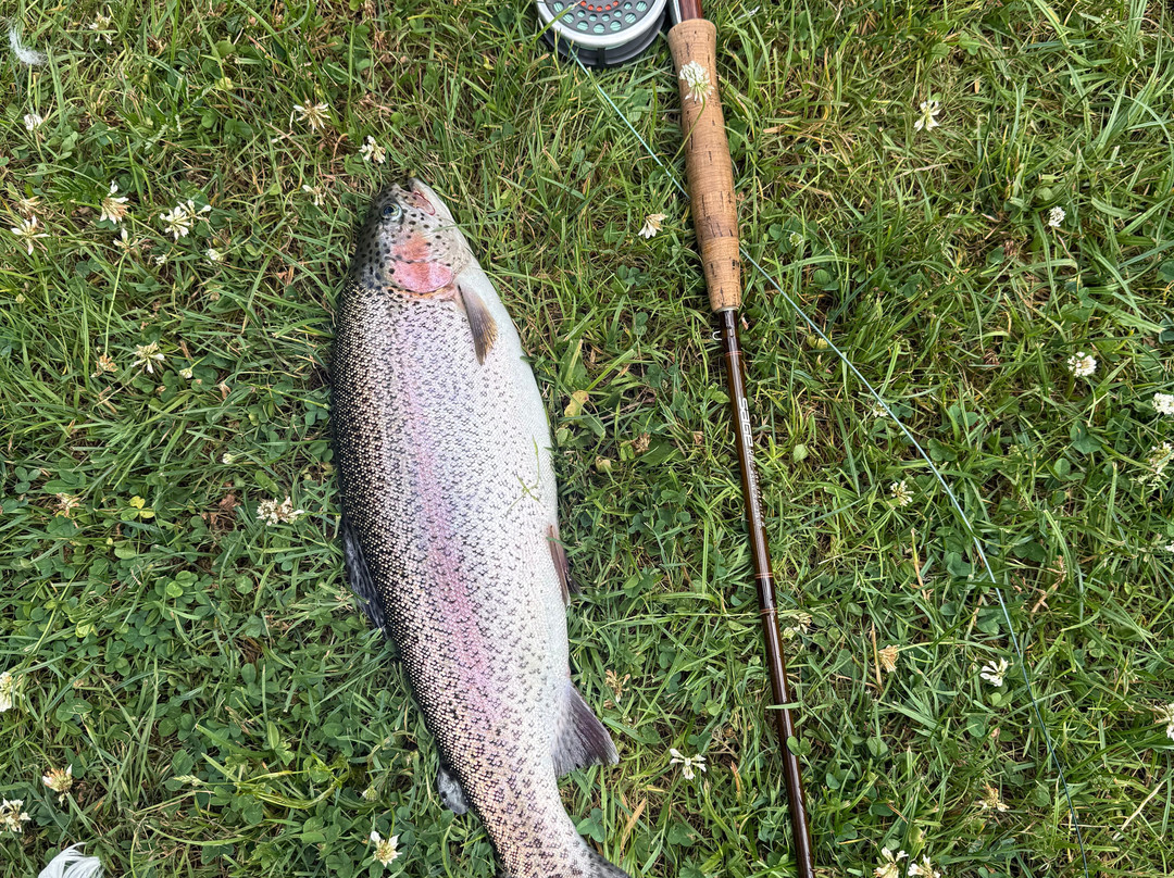 Holbury Lakes Trout Fishery-Lockerley必去景点