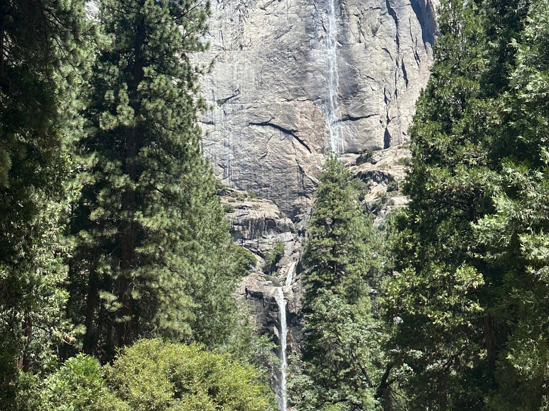Lower Yosemite Fall Trail-优胜美地国家公园必去景点
