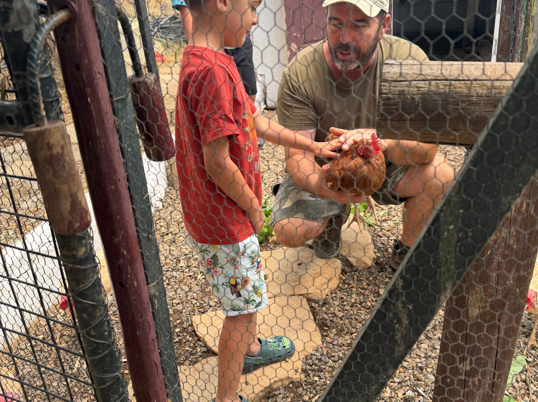 Snail Farm And Fun-Tylissos必去景点