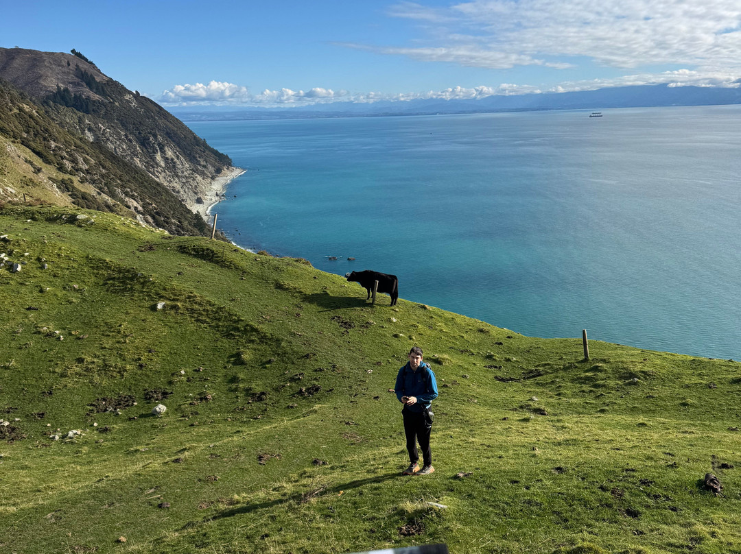 Tasman Adventure-Abel Tasman National Park必去景点