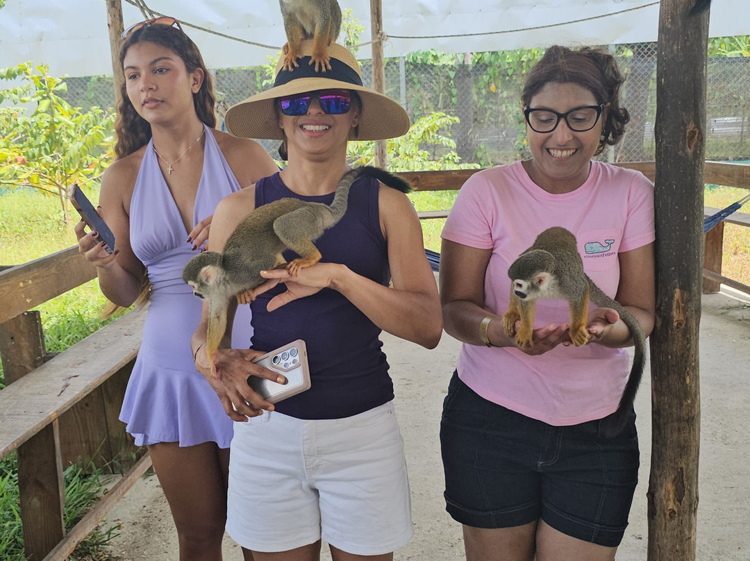 Monkey Home Puerto Plata-普拉塔港必去景点
