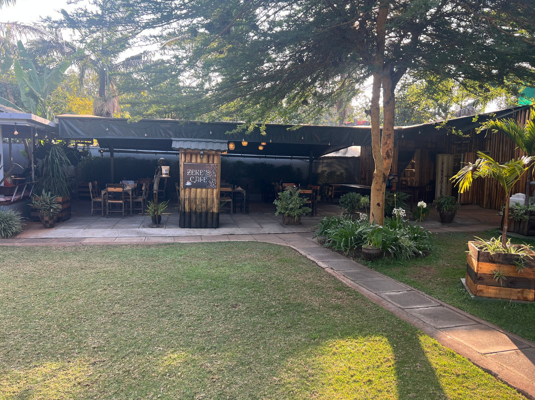 金合欢树小屋主图