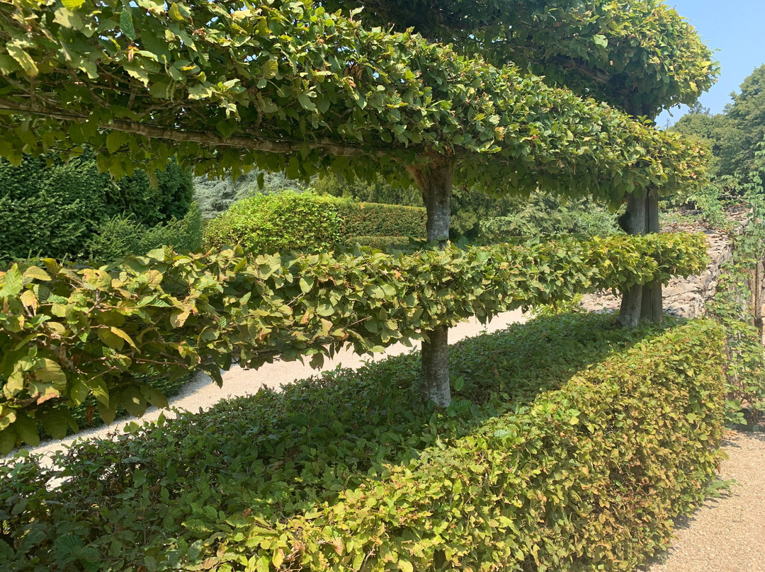 Château Et Jardins De Losse-Thonac必去景点