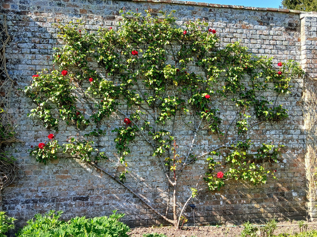 Waterperry Gardens-Wheatley必去景点