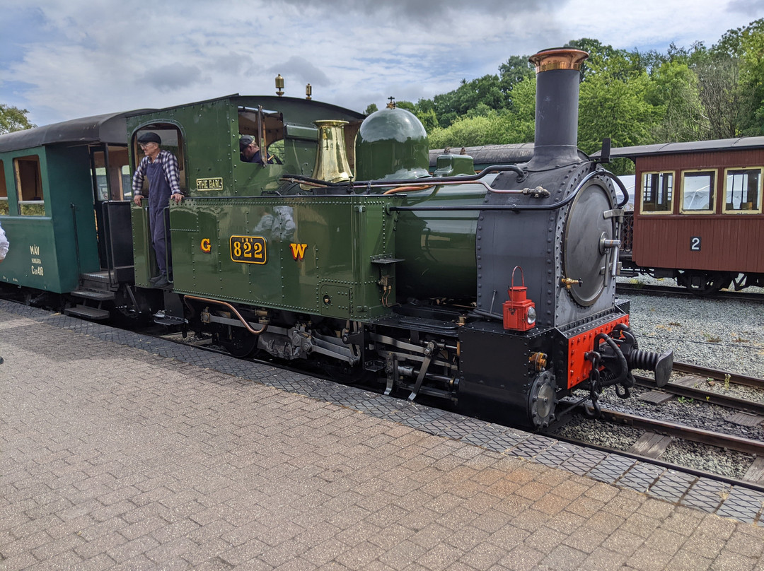 Welshpool and Llanfair Light Railway-Welshpool必去景点