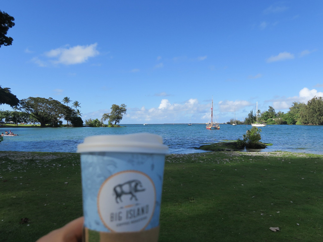 Reeds Bay Beach Park-希洛必去景点