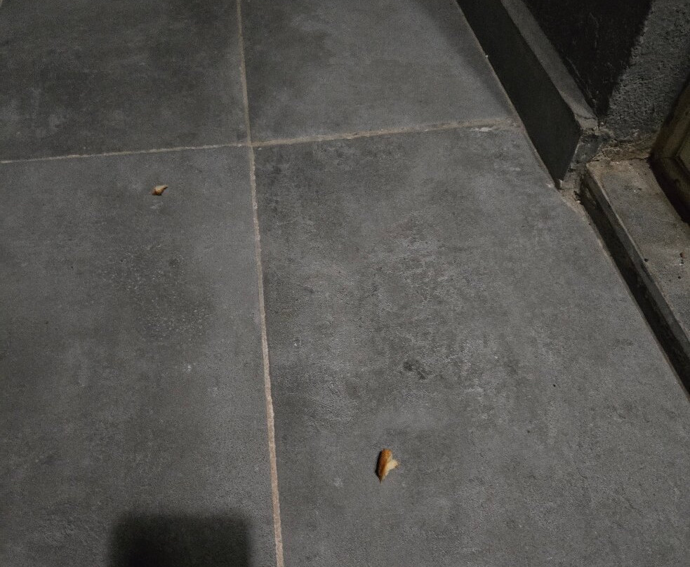 森萨大桑塔纳酒店主图