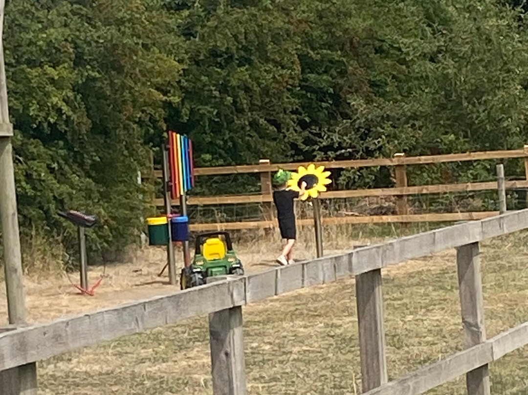 Beetle Bank Open Farm-约克必去景点