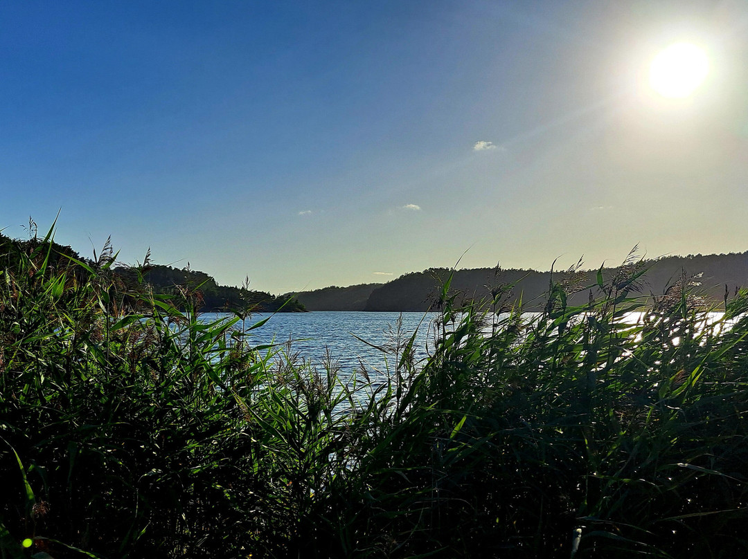 Dynestrand Camping
