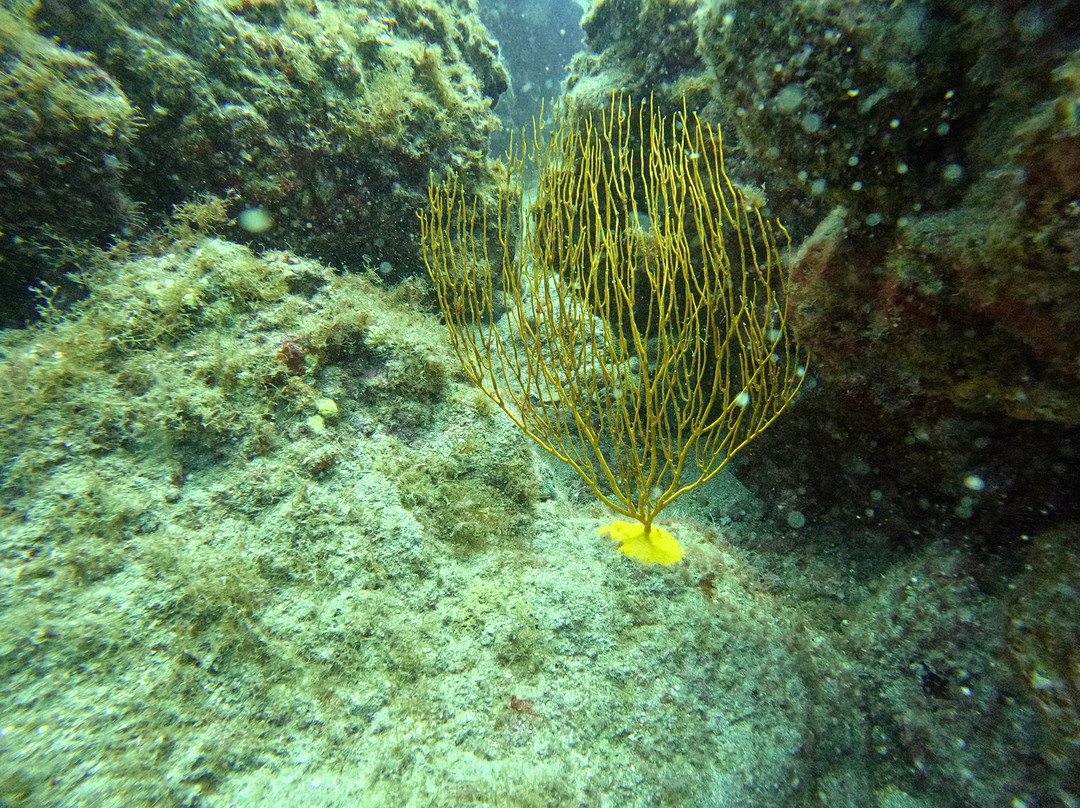 PAMA DIVING-圣胡安海滩必去景点