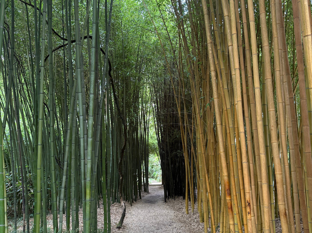 Le Jardin de Planbuisson-Le Buisson-de-Cadouin必去景点