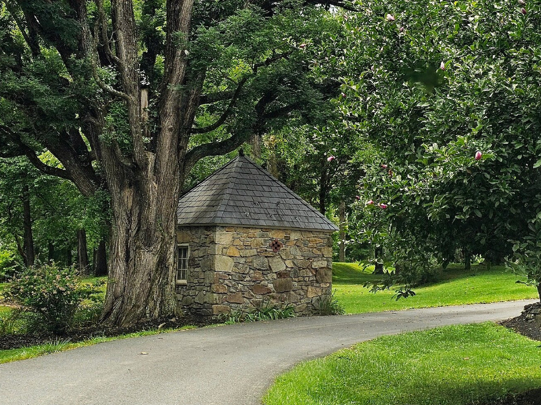 Wilson's Mill-Darlington必去景点