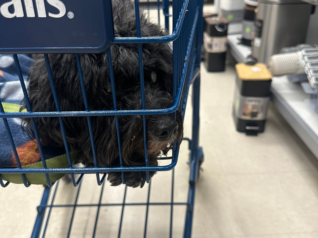 Marshalls