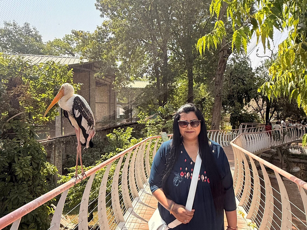 Sayaji Baug Zoo-瓦都达拉必去景点