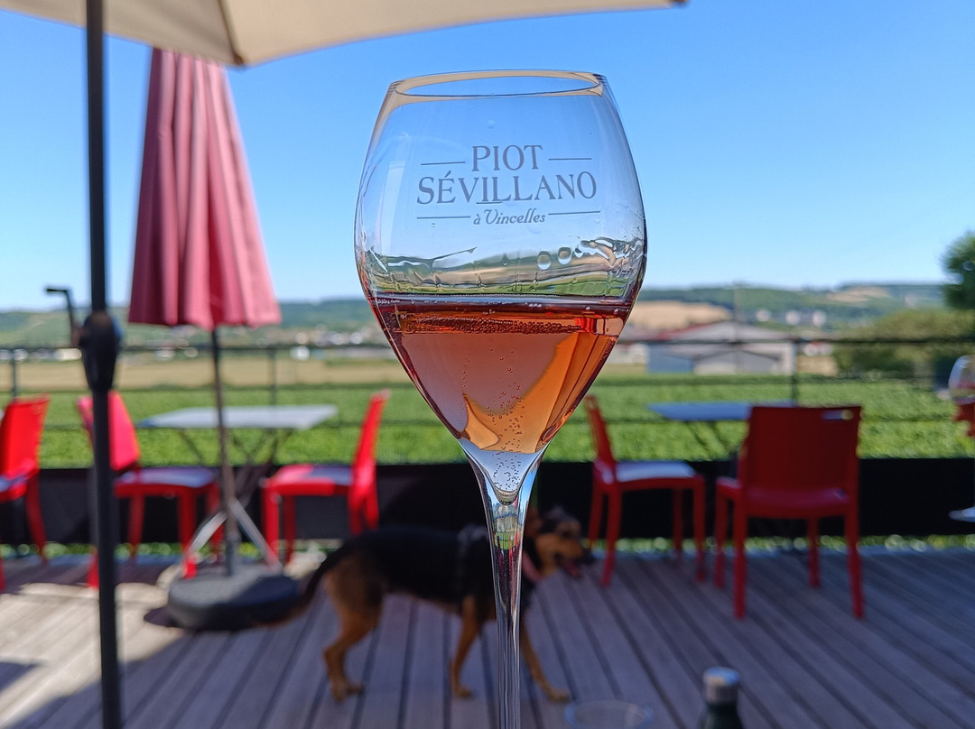 Champagne Piot-Sévillano-Vincelles必去景点