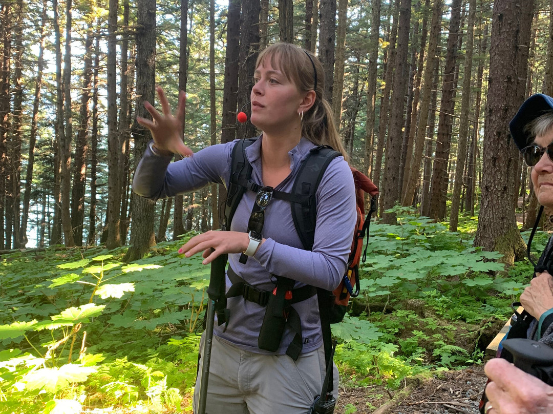 Chilkat Bald Eagle Preserve-海恩斯必去景点