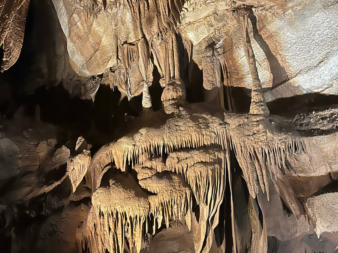 Grotte de la Cocalière-Courry必去景点