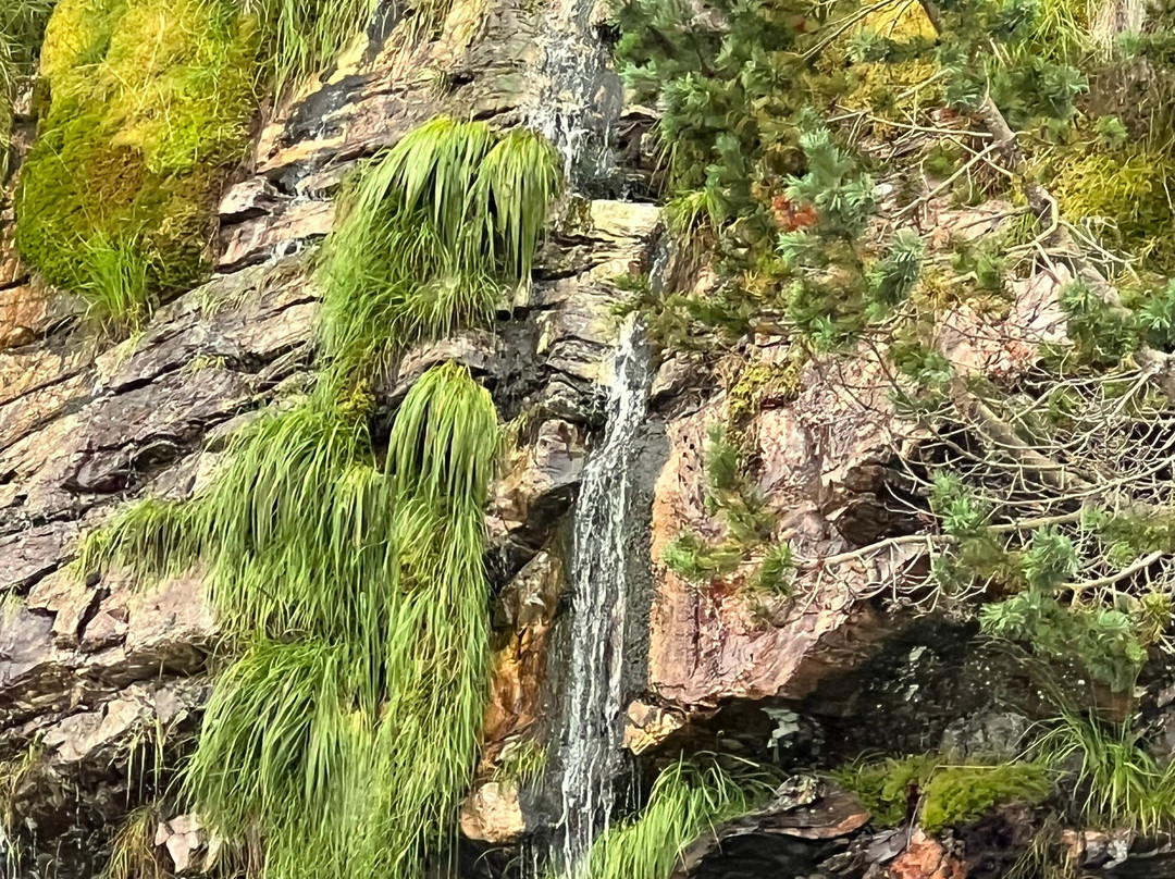Rødne Fjord Cruise Bergen-卑尔根必去景点