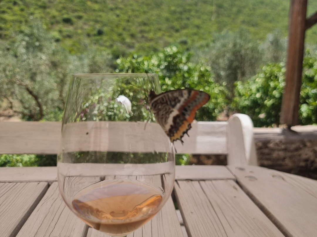 Goumas Estate - Art & Wine Winery-Maries必去景点