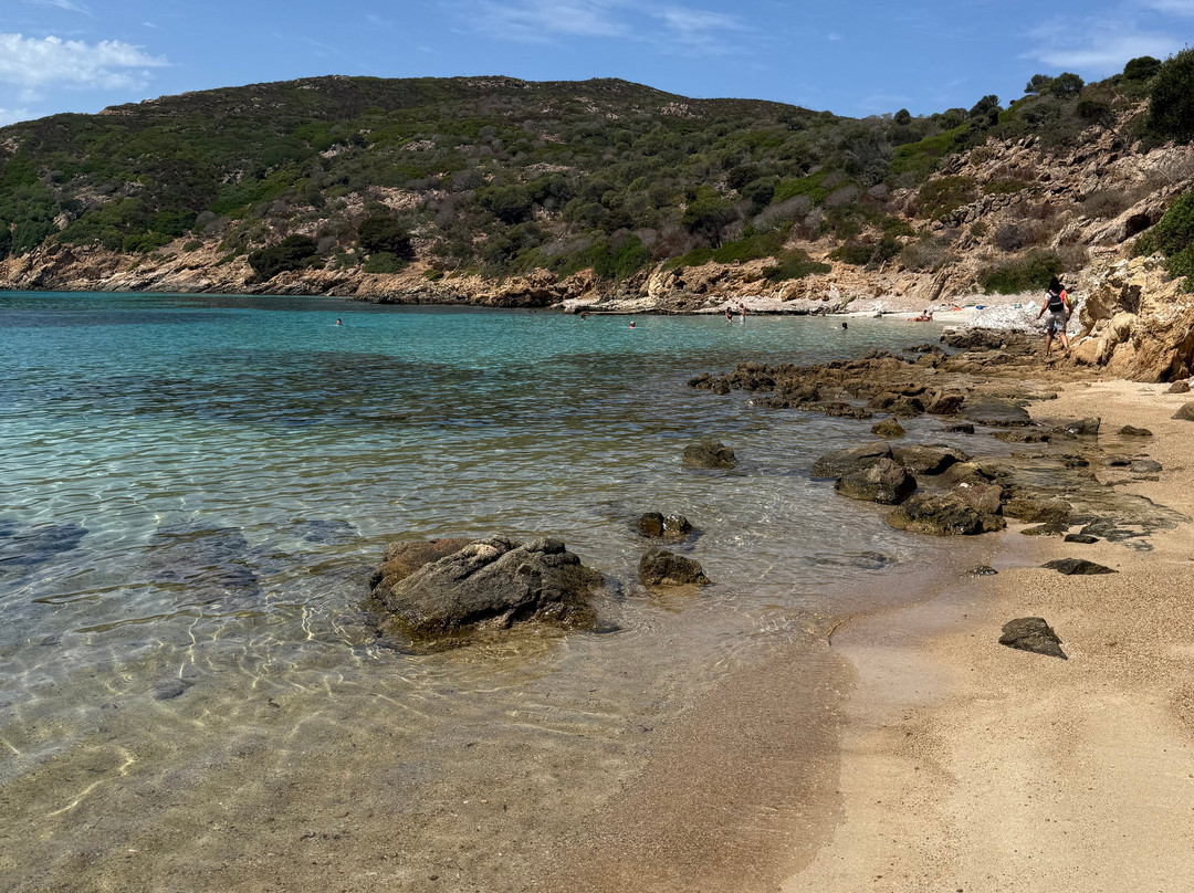 Spiaggia di Cala Sabina-奥尔比亚必去景点