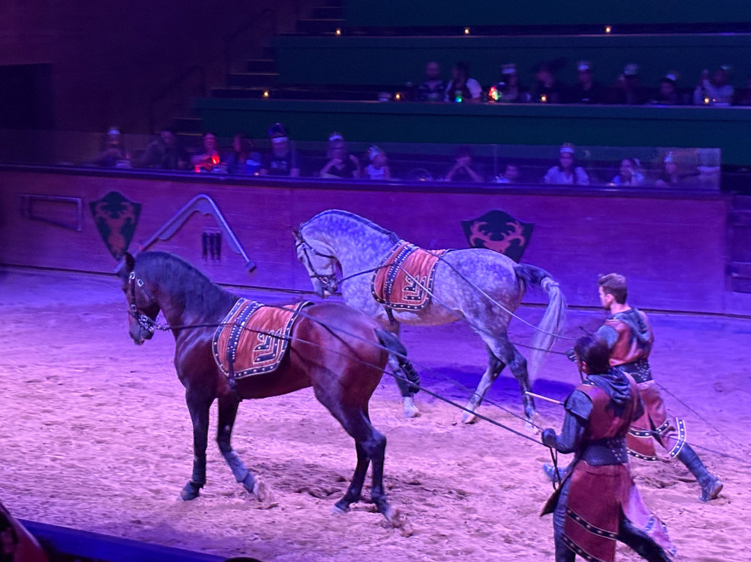 Medieval Times Dinner & Tournament-斯科茨代尔必去景点