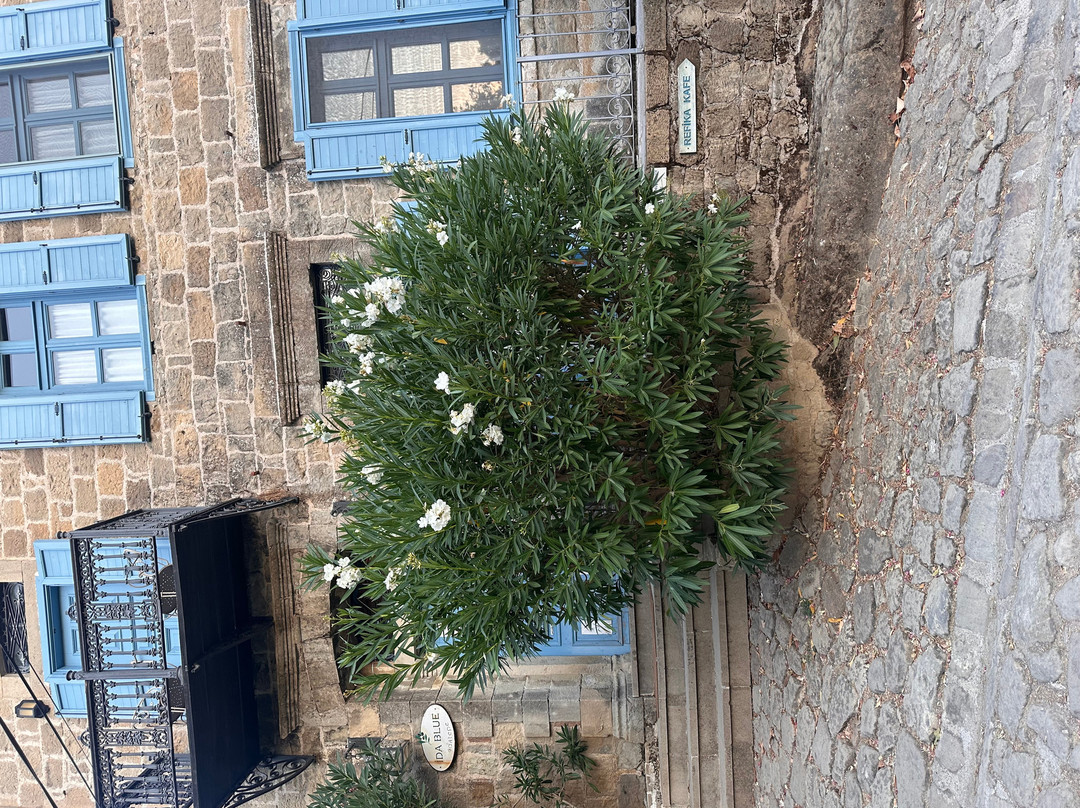 阿德特贝伊达蓝酒店 - 限成人入住主图