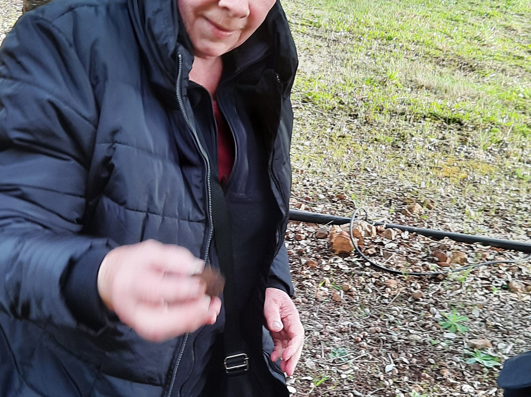 The Truffle Farm Tasmania-德洛兰恩必去景点