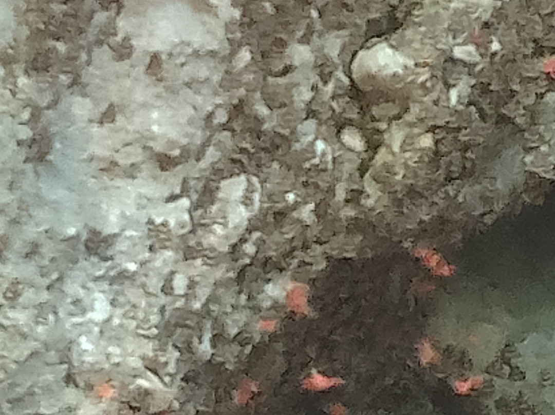 Valley of the Butterflies-Petaloudes必去景点
