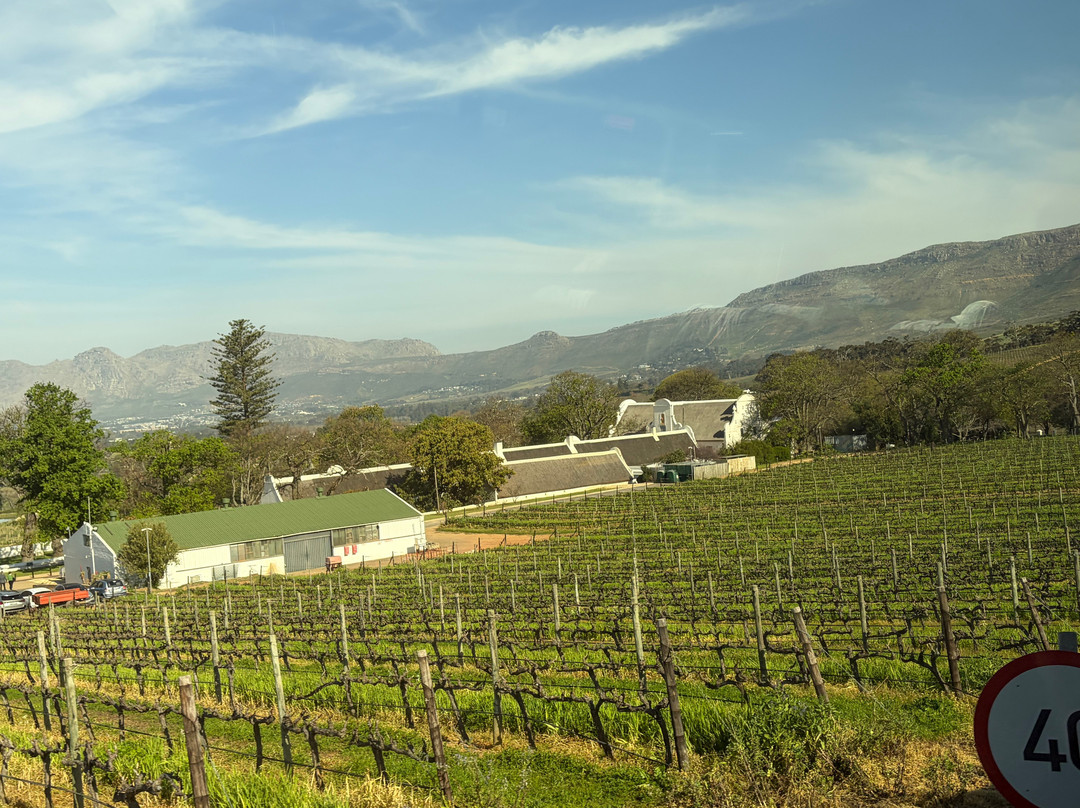 Groot Constantia-康士坦提亚必去景点