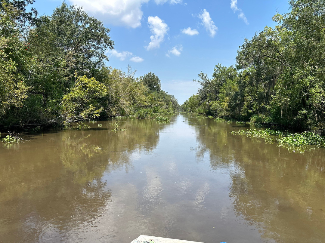 Ragin Cajun Airboat Tours-新奥尔良必去景点