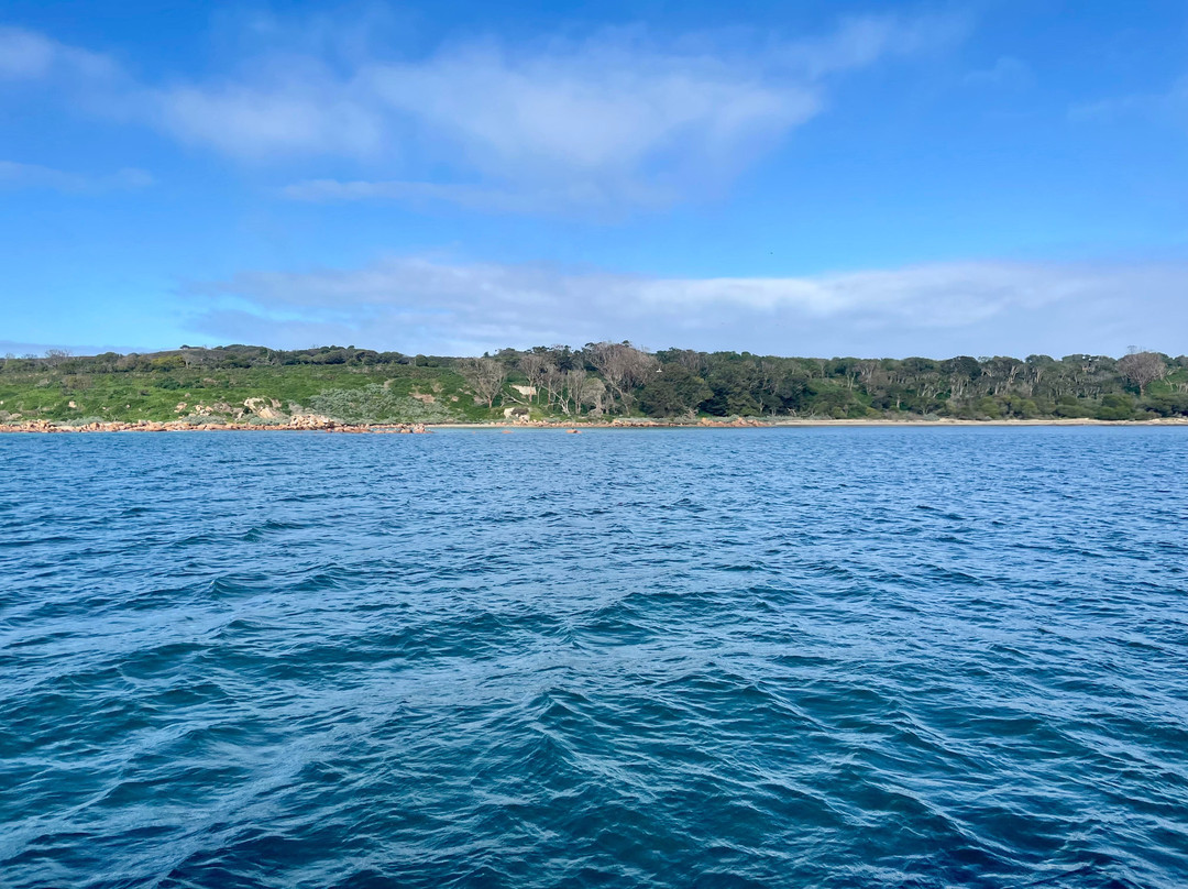 Wildlife Coast Cruises-考斯必去景点