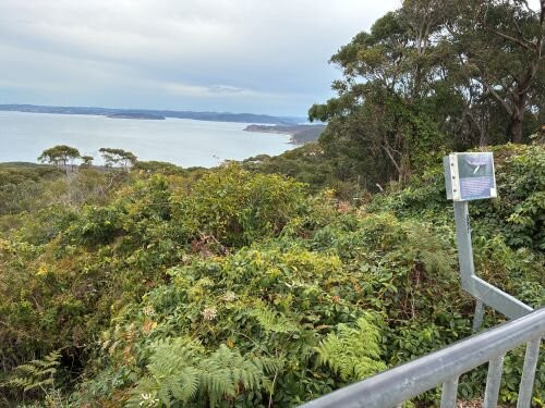 Bouddi National Park-Killcare必去景点
