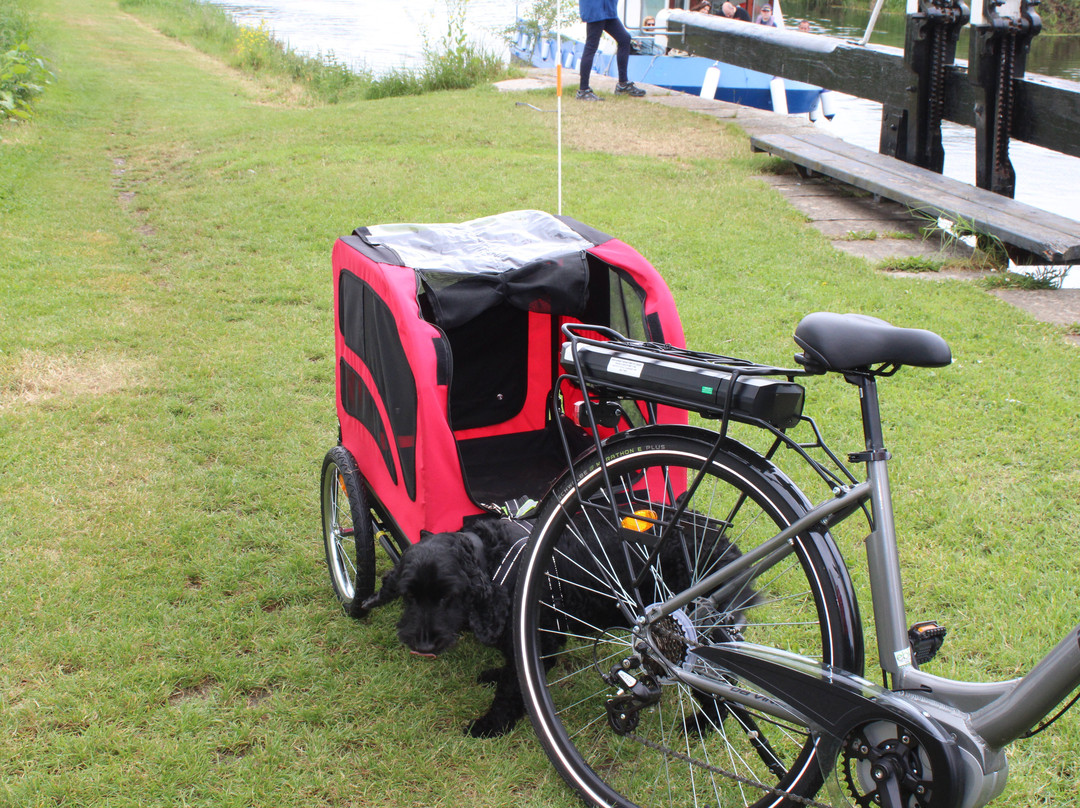 Kildare Bike hire-Athy必去景点