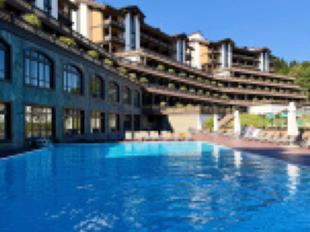 波利亚纳 1389 号 Spa 酒店主图