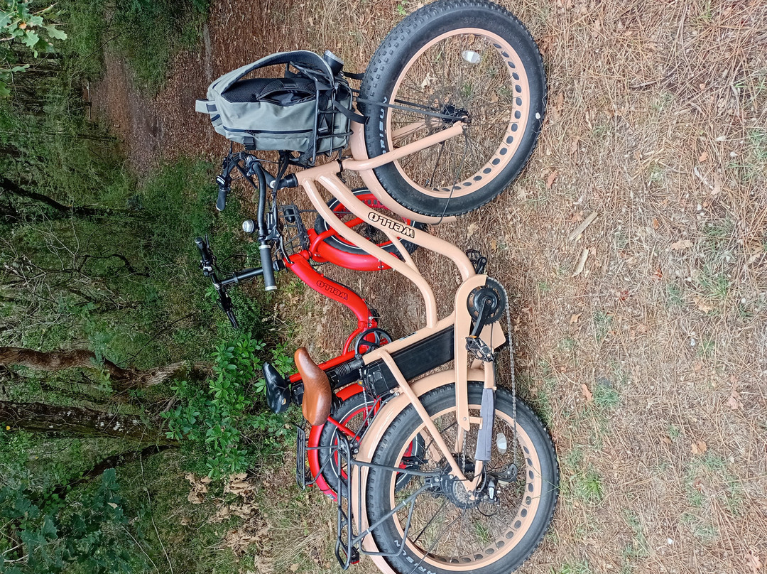 TIKI SURF SCHOOL-Labenne必去景点