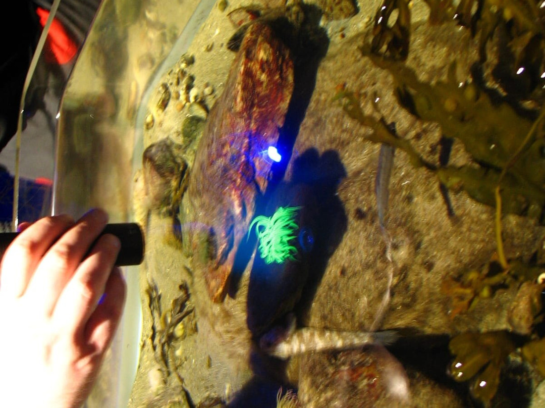 Achill Experience, Aquarium & Visitor Centre-Achill Island必去景点