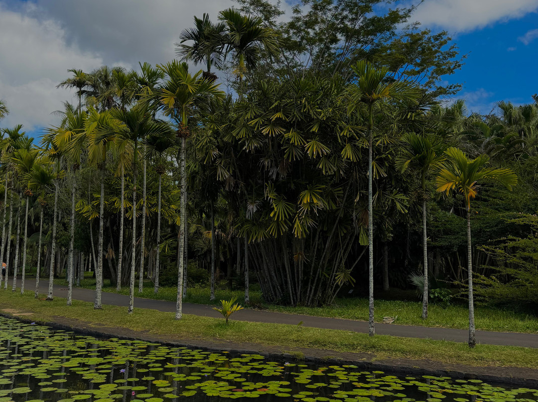Paradisio Excursions Ile Maurice-大湾必去景点