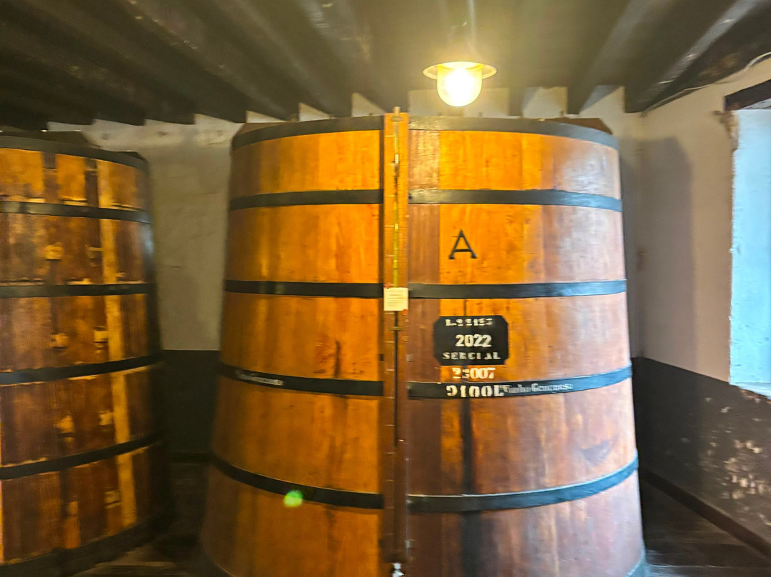 Blandy's Wine Lodge-沙尔必去景点