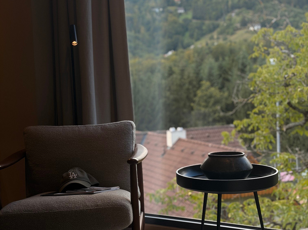 Boutiquehotel DAS ZEITWERT精品酒店主图
