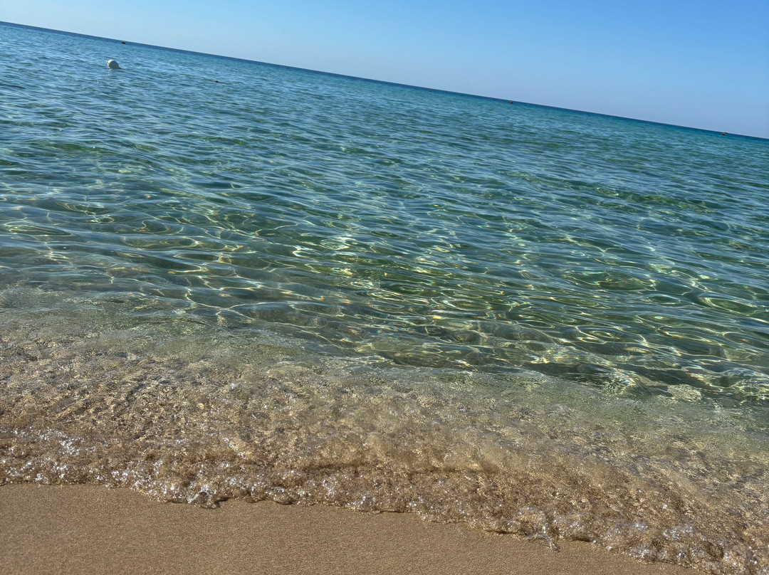 Lido degli Angeli-切萨雷奥港必去景点