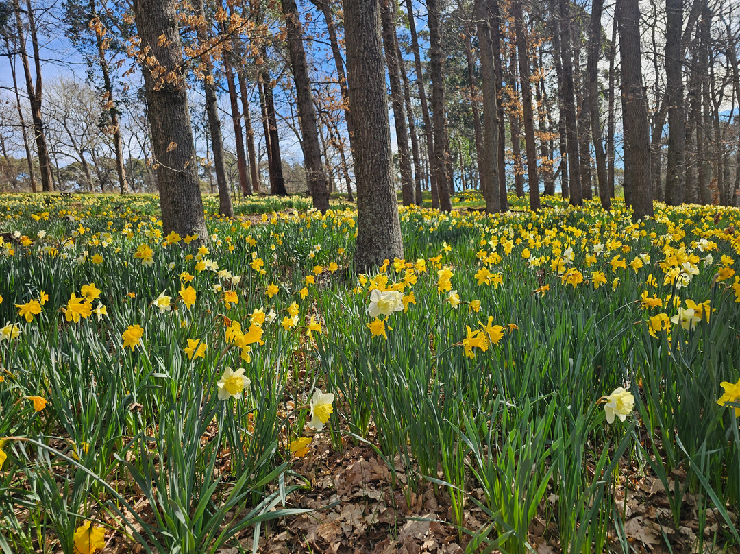 Cheviot Hills Reserve-Cheviot必去景点