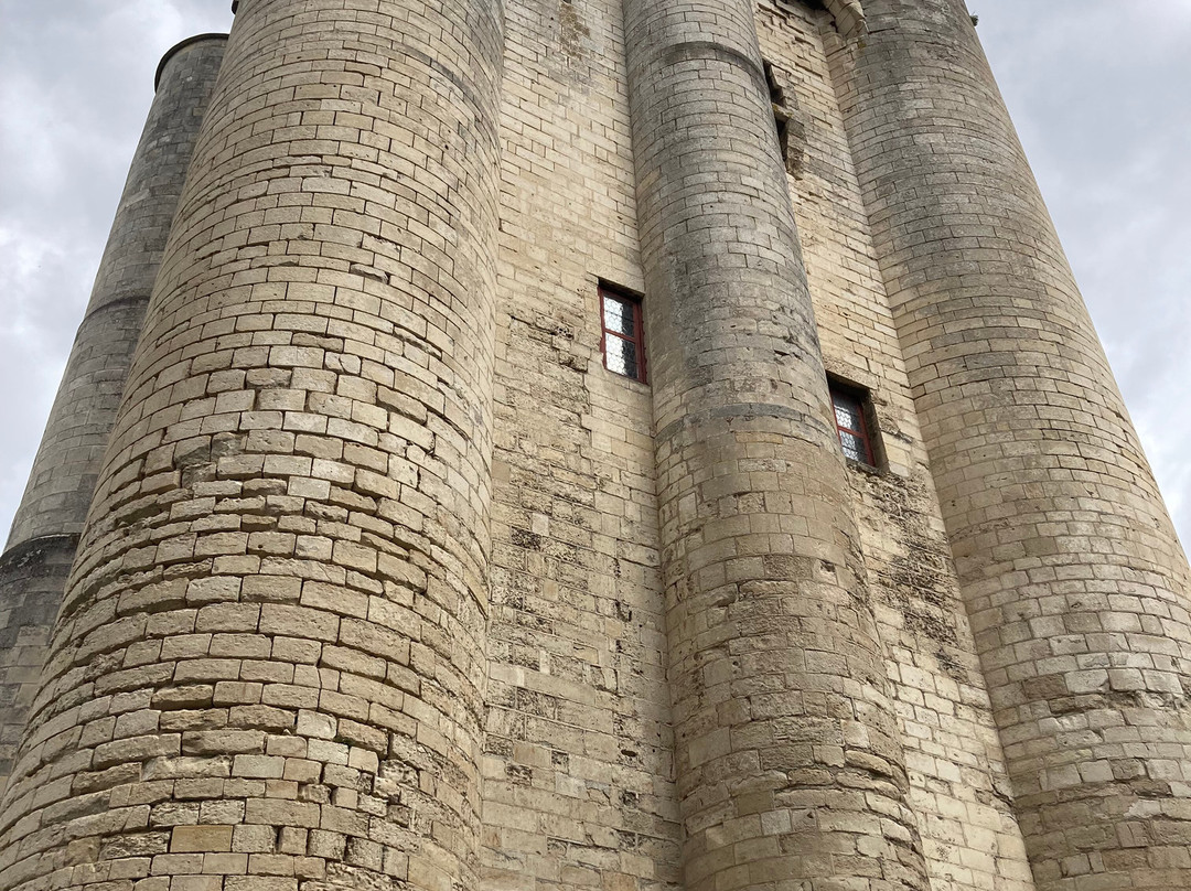 Le Musée du Donjon de Niort-尼奥尔必去景点