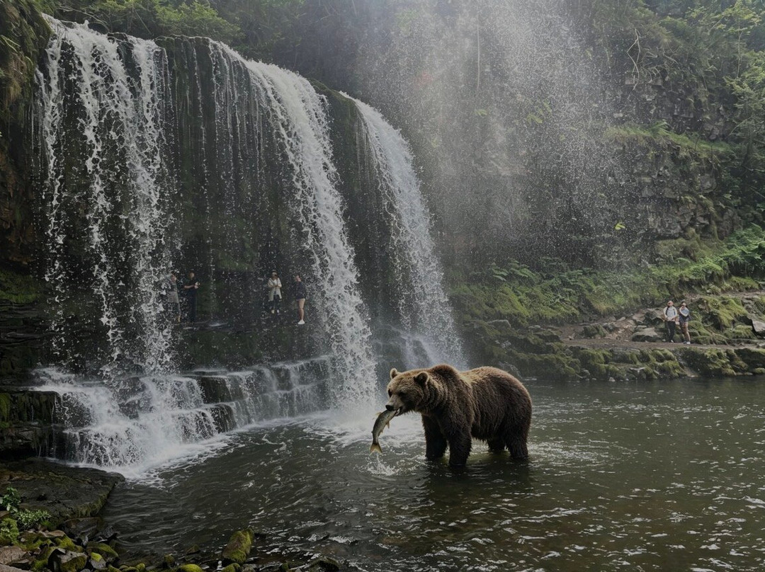 Four Waterfalls Walk-Ystradfellte必去景点