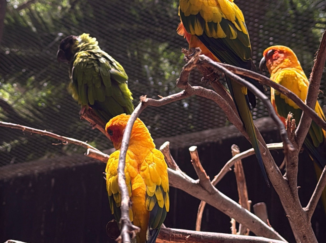Park Las Aquilas Jungle Park-阿罗纳必去景点