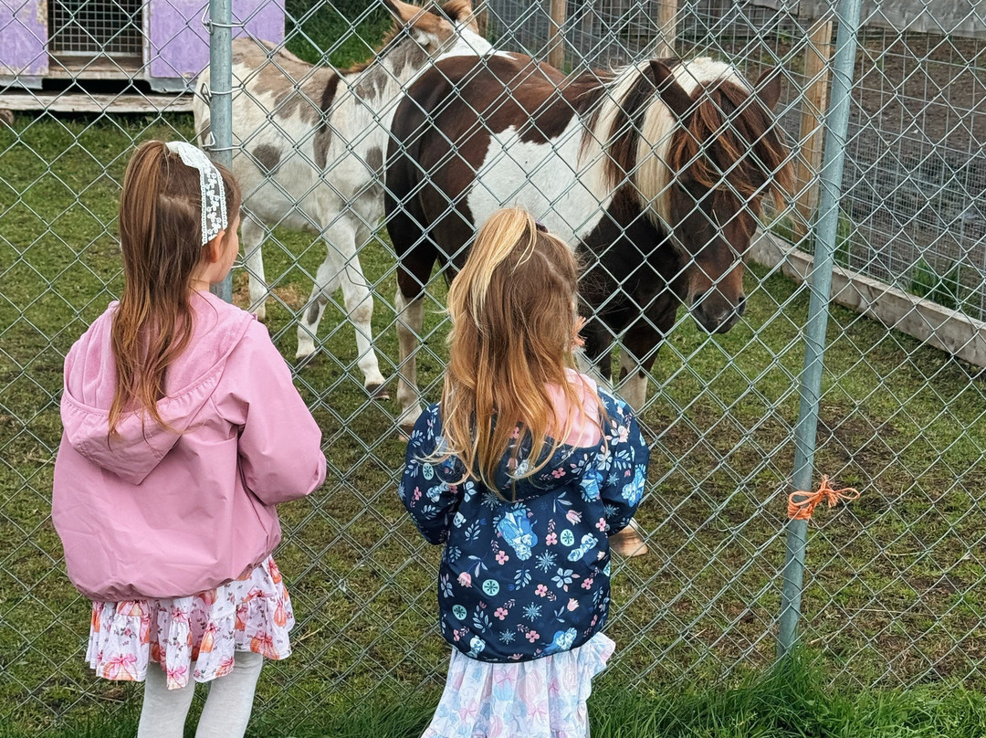 Sassy G's Adventure Farm-斯普鲁斯格罗夫市必去景点